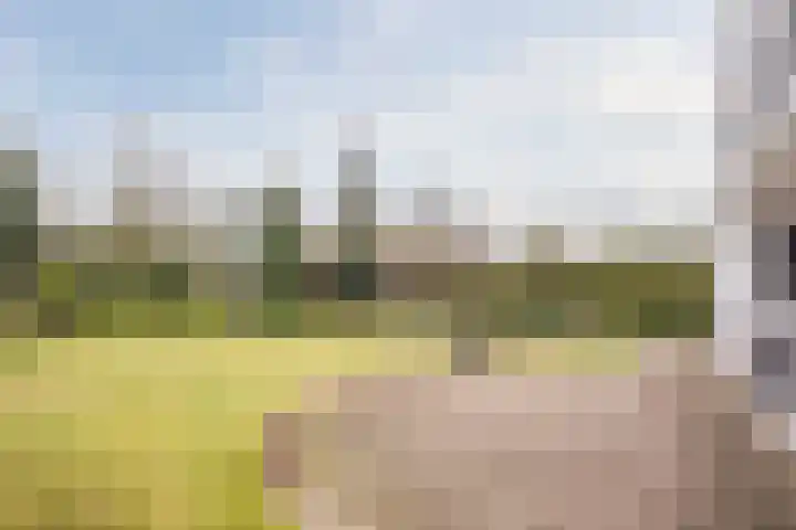 Nimrodel 17 Geldrop thumbnail 43