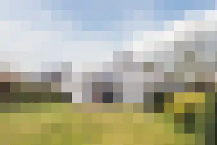 Nimrodel 17 Geldrop thumbnail 44