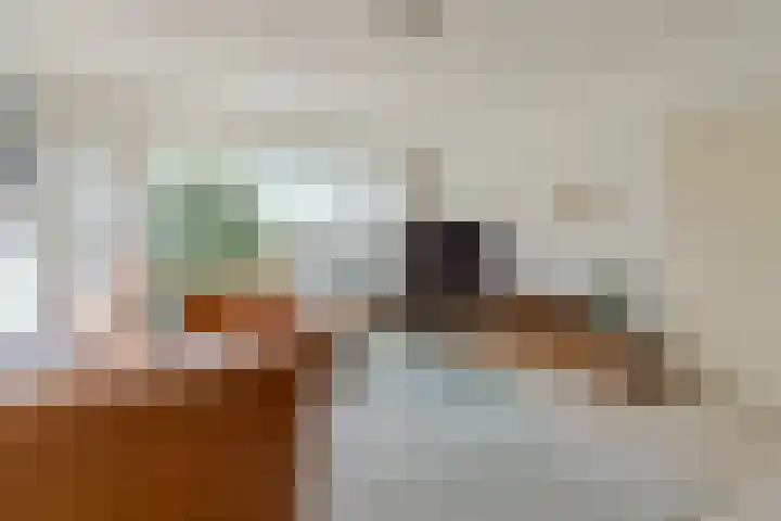 Nimrodel 22 Geldrop thumbnail 13