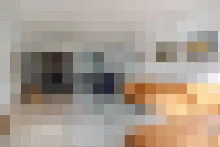 Nimrodel 22 Geldrop thumbnail 16