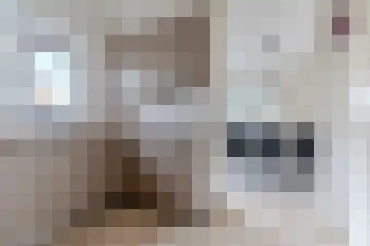 Nimrodel 22 Geldrop thumbnail 23