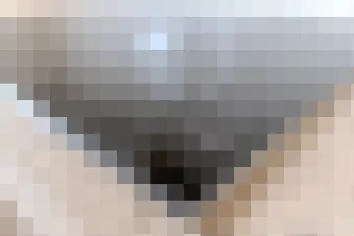 Nimrodel 22 Geldrop thumbnail 25