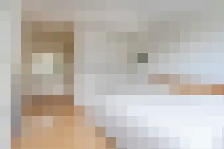 Nimrodel 22 Geldrop thumbnail 29