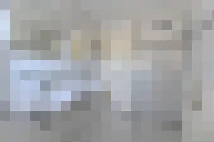 Nimrodel 22 Geldrop thumbnail 49