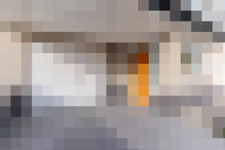 Nimrodel 22 Geldrop thumbnail 5