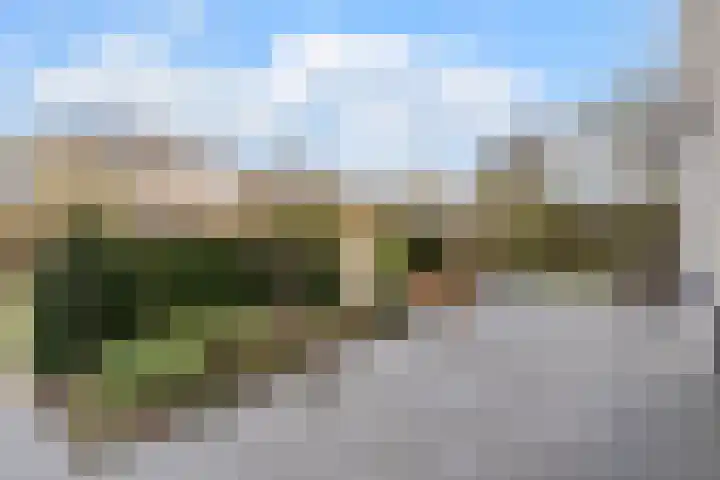 Nimrodel 22 Geldrop thumbnail 51