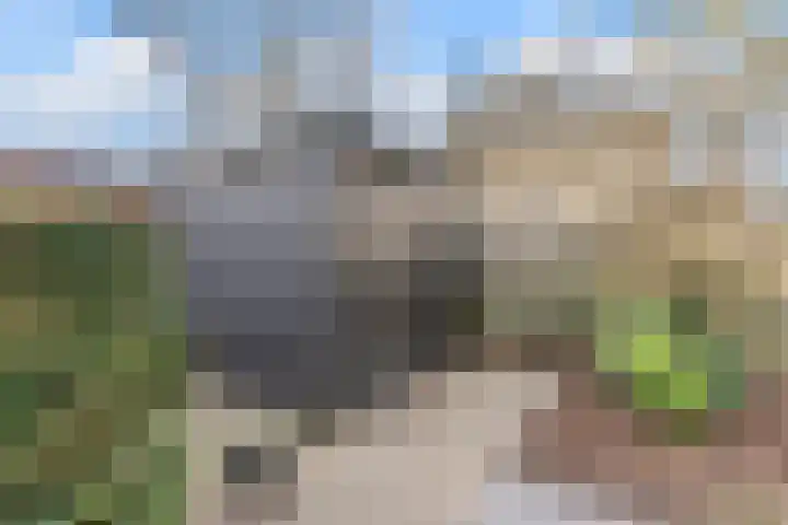 Nimrodel 22 Geldrop thumbnail 53