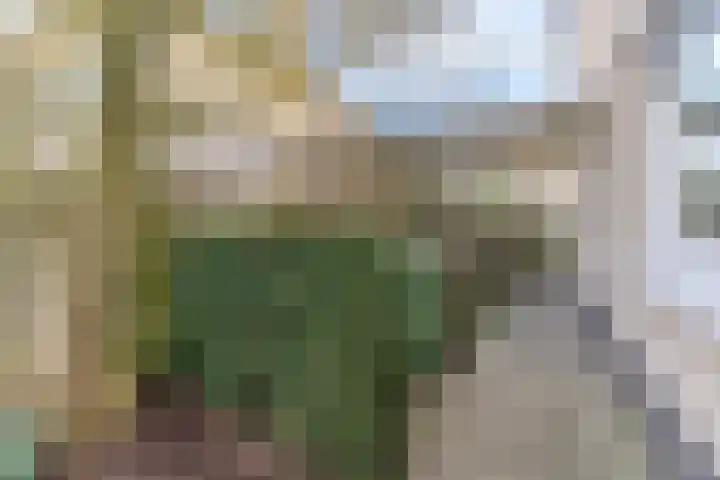 Nimrodel 22 Geldrop thumbnail 59