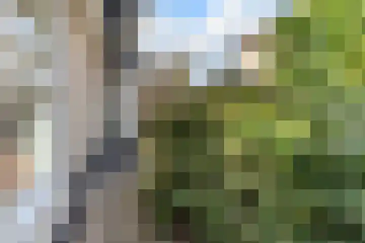 Nimrodel 22 Geldrop thumbnail 60