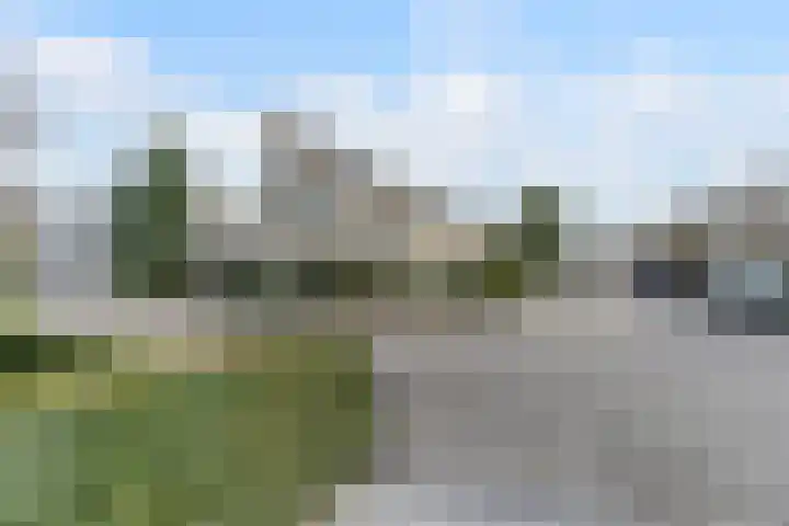 Nimrodel 22 Geldrop thumbnail 64