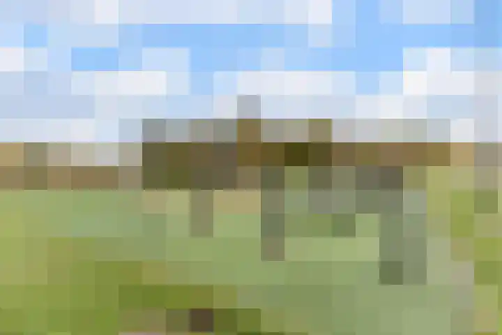 Nimrodel 22 Geldrop thumbnail 67