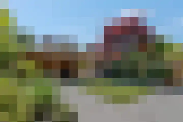 Nimrodlaan 1 Ede thumbnail 36