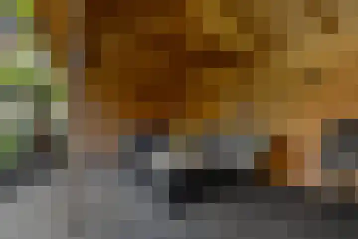 Nimrodlaan 1 Ede thumbnail 39