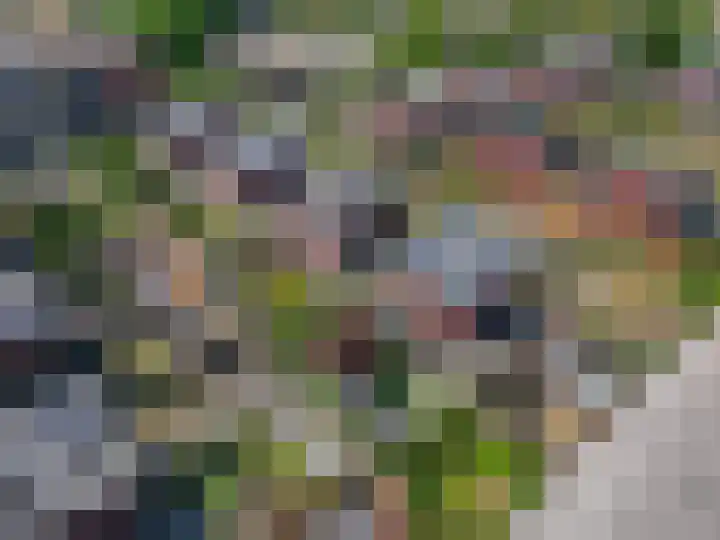 Nimrodlaan 1 Ede thumbnail 52