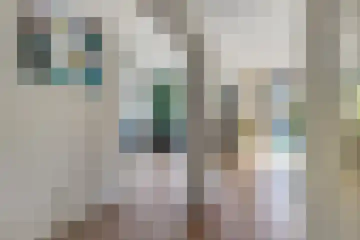 Nimrodlaan 1 Ede thumbnail 9