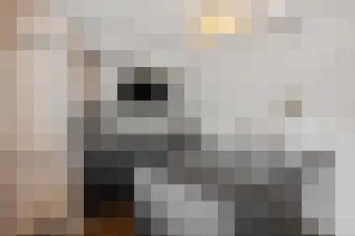 Nimrodlaan 11 Ede thumbnail 11