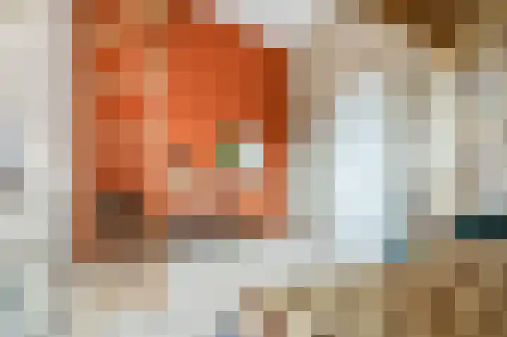Nimrodlaan 11 Ede thumbnail 28