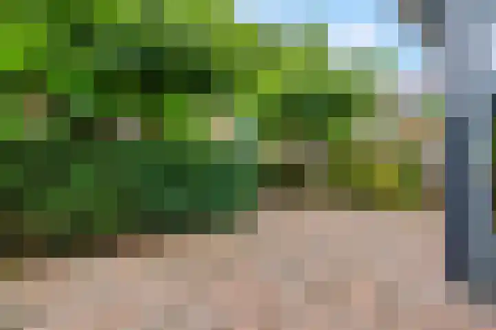 Nimrodlaan 11 Ede thumbnail 33