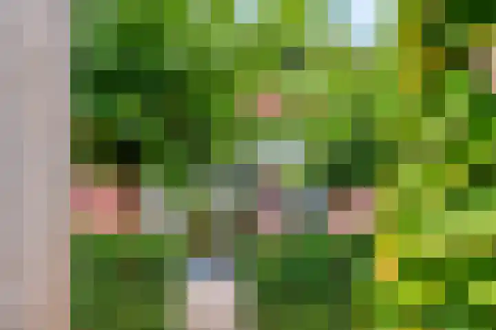 Nimrodlaan 11 Ede thumbnail 34