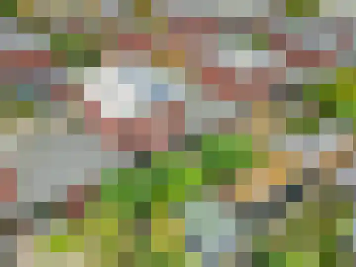 Nimrodlaan 11 Ede thumbnail 39
