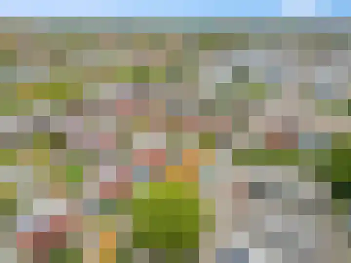 Nimrodlaan 11 Ede thumbnail 42