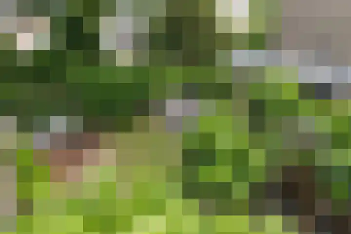 Nimrodlaan 44 Bilthoven thumbnail 23