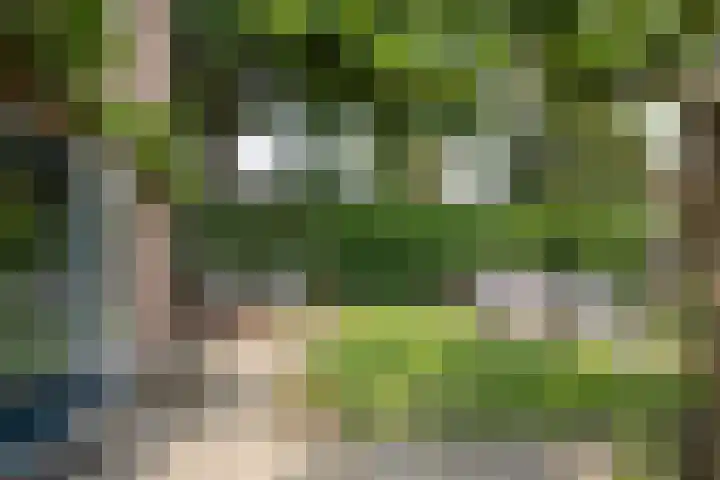 Nimrodlaan 44 Bilthoven thumbnail 35