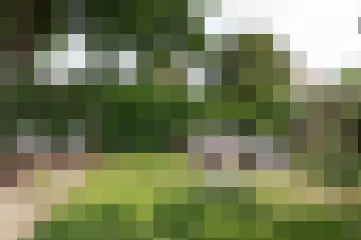 Nimrodlaan 44 Bilthoven thumbnail 36