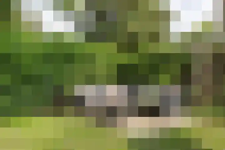 Nimrodlaan 44 Bilthoven thumbnail 37