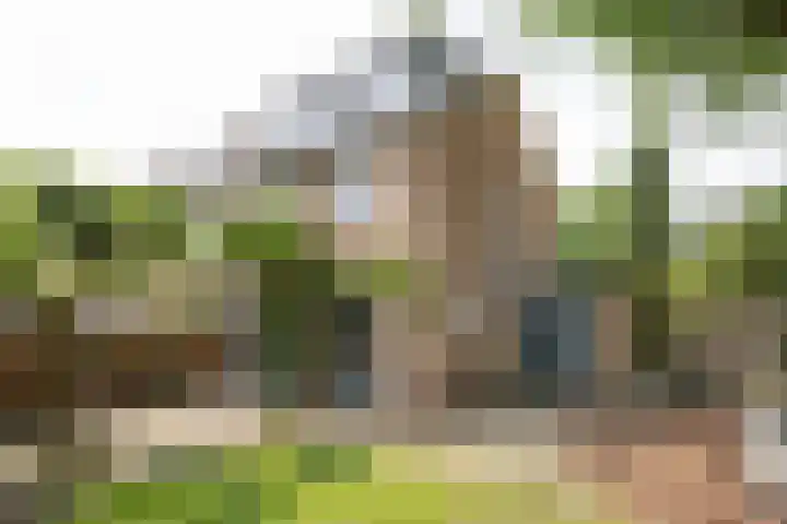 Nimrodlaan 44 Bilthoven thumbnail 38
