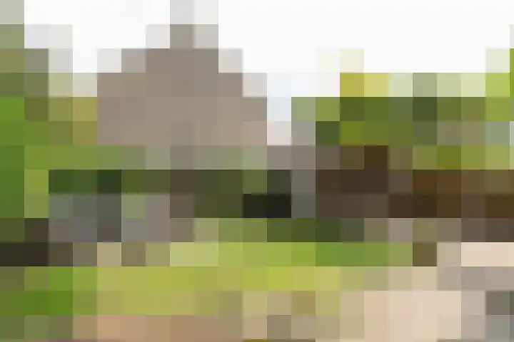 Nimrodlaan 44 Bilthoven thumbnail 4