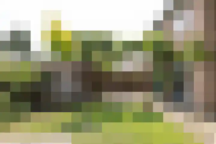 Nimrodlaan 44 Bilthoven thumbnail 40