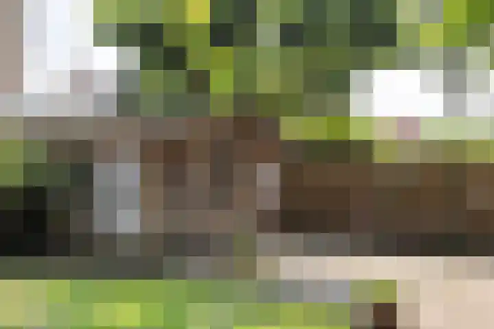 Nimrodlaan 44 Bilthoven thumbnail 43