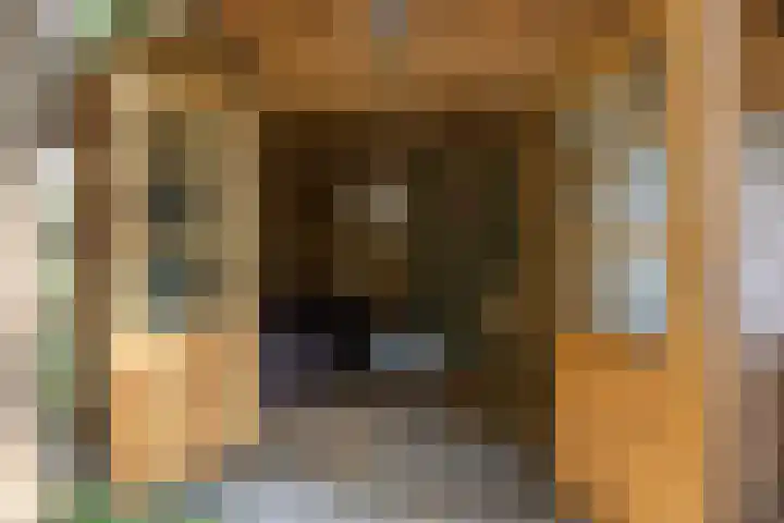 Nimrodlaan 44 Bilthoven thumbnail 44