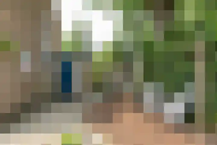 Nimrodlaan 44 Bilthoven thumbnail 47