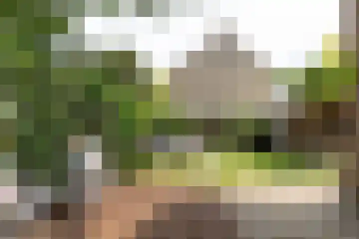 Nimrodlaan 44 Bilthoven thumbnail 48