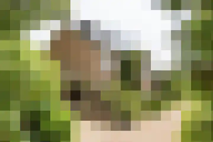 Nimrodlaan 44 Bilthoven thumbnail 49