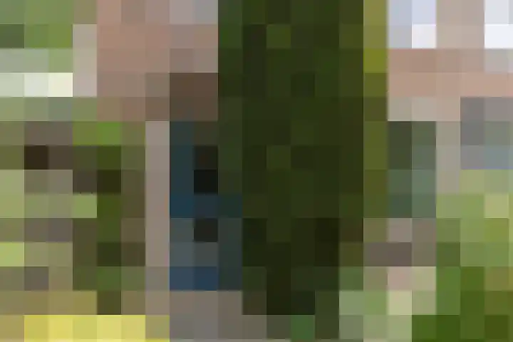 Nimrodlaan 44 Bilthoven thumbnail 5