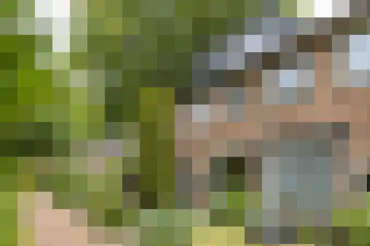 Nimrodlaan 44 Bilthoven thumbnail 50