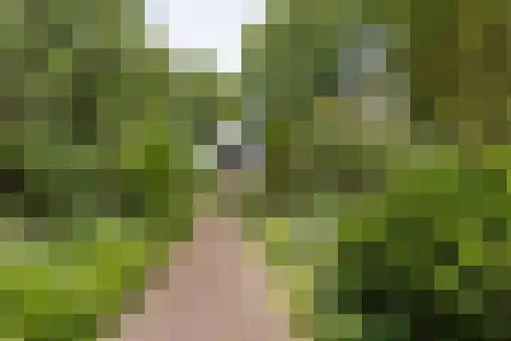 Nimrodlaan 44 Bilthoven thumbnail 51