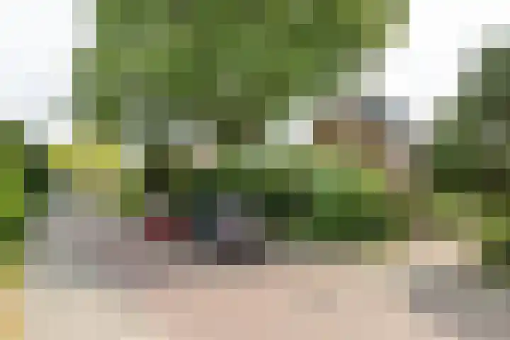 Nimrodlaan 44 Bilthoven thumbnail 52