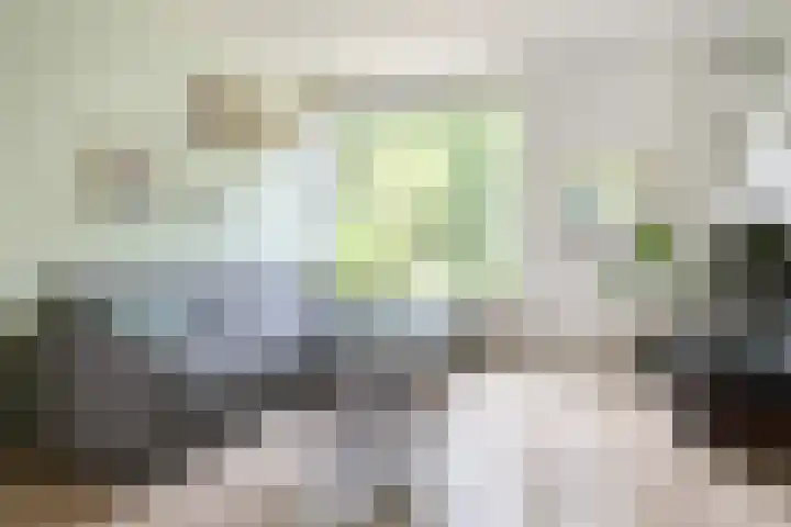 Nimrodlaan 44 Bilthoven thumbnail 7