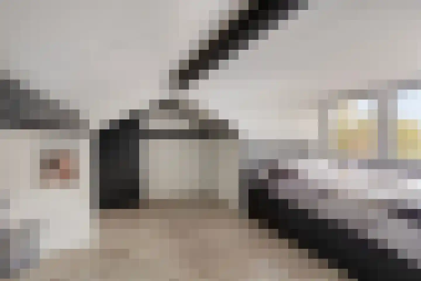 Nimrodstraat 35 Maastricht thumbnail 32