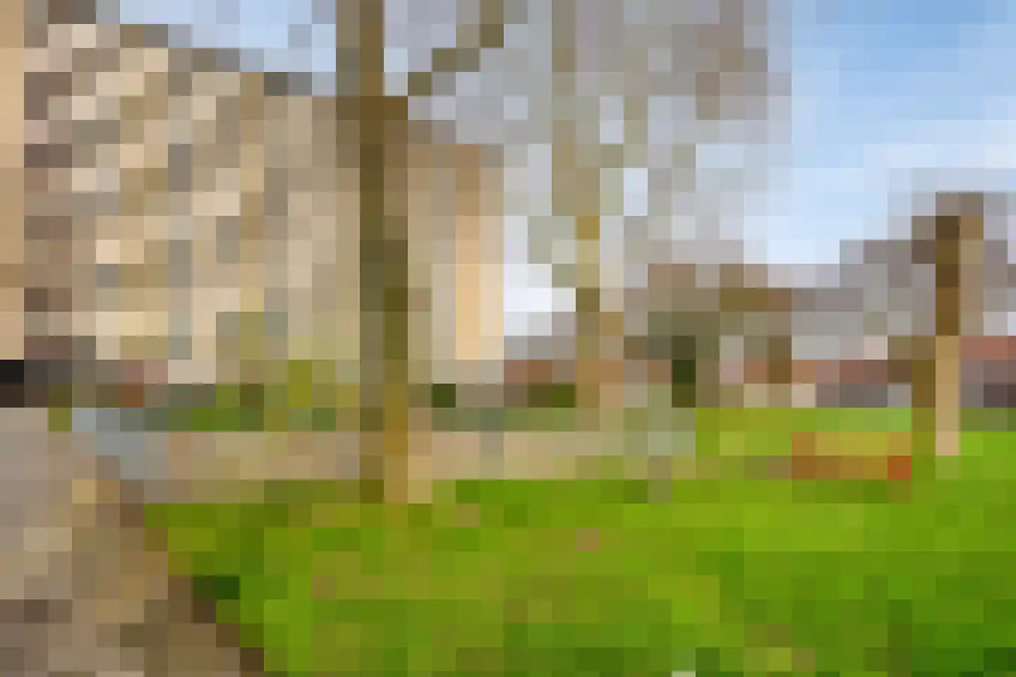 Nimrodstraat 35 Maastricht thumbnail 55