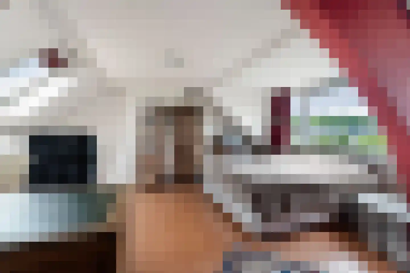 Nimrodstraat 91 Nijmegen thumbnail 30