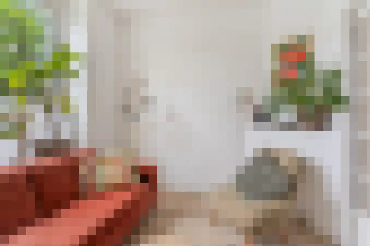 Nimrodstraat 91 Nijmegen thumbnail 6