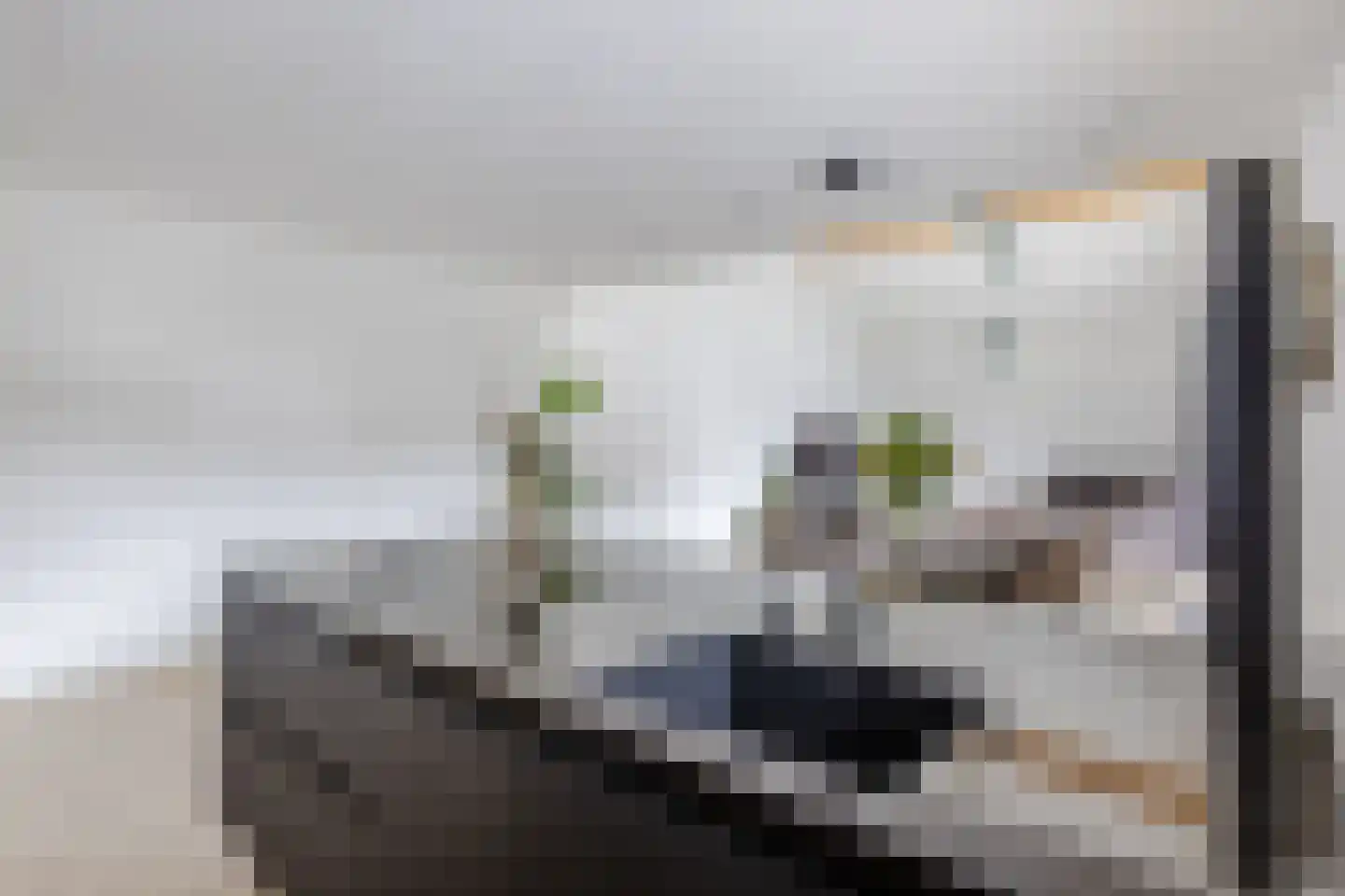 Nina Simonehof 23 Zaandijk thumbnail 15