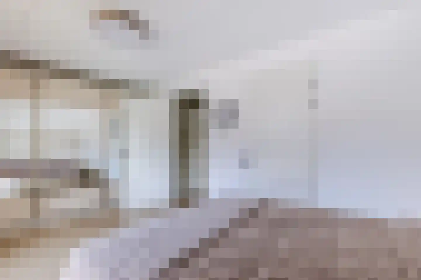 Nina Simonehof 23 Zaandijk thumbnail 18