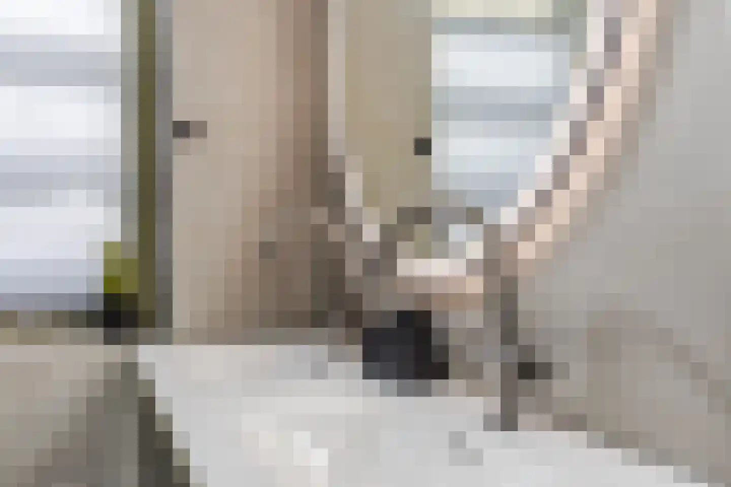 Nina Simonehof 23 Zaandijk thumbnail 20