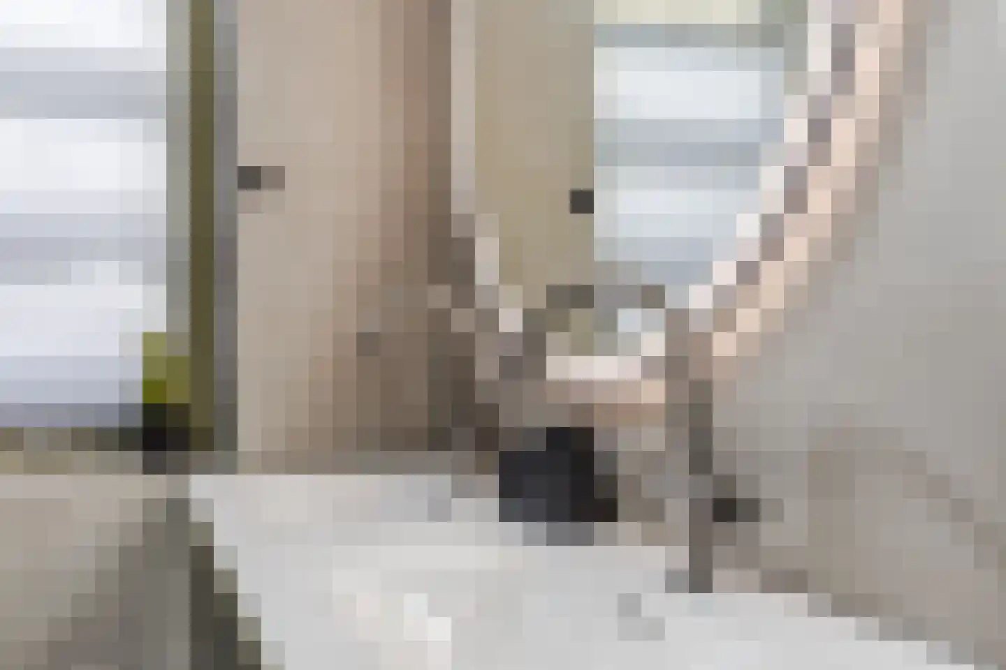 Nina Simonehof 23 Zaandijk thumbnail 20